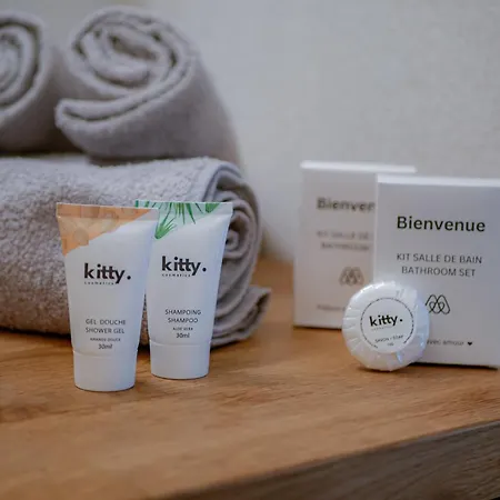 Le Carrefour Matabiau - T2 A La Gare